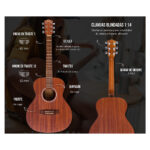 GUITARRA ACUSTICA VISION MAHOGANY - Imagen 5