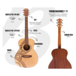 GUITARRA ACUSTICA VISION PACIFICA - Imagen 5